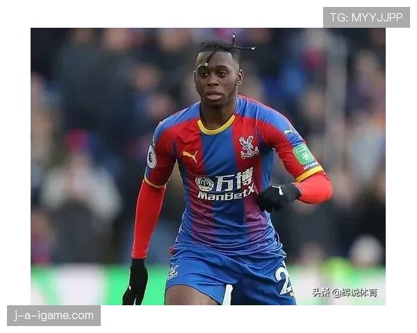 马奎尔防线作用 马奎尔防线作用